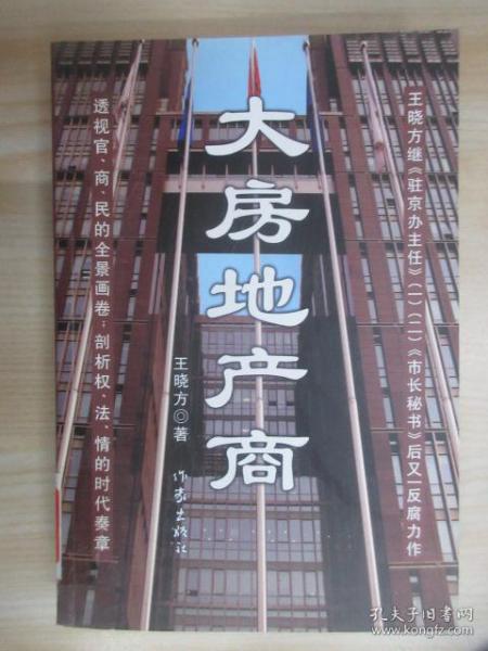 大地产商，权力、金钱与梦想的纠缠小说在线阅读