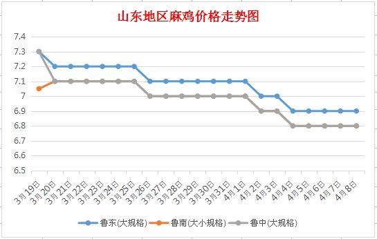 山东今日麻鸡价格动态解析